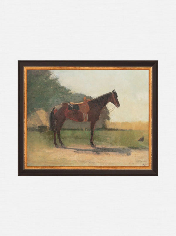 Saddled Horse