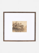 Savanna II