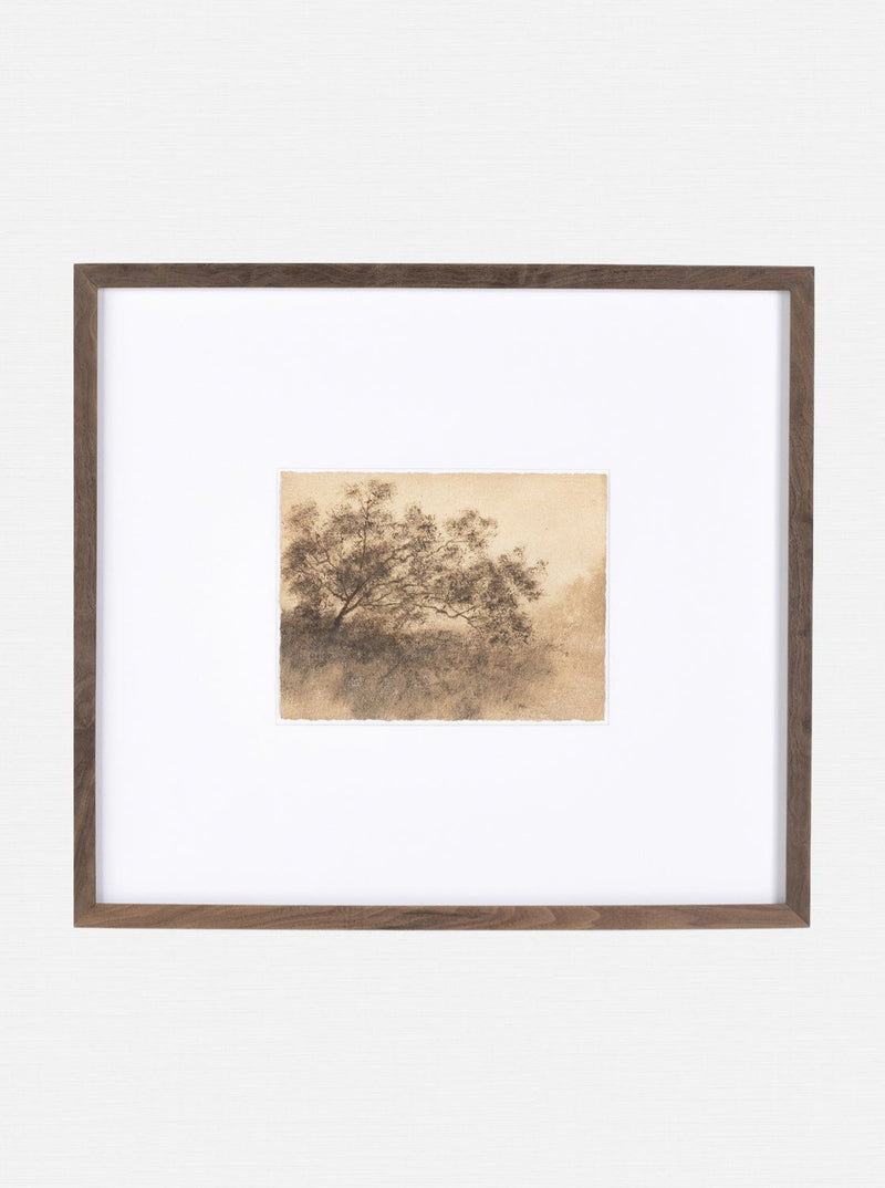 Savanna II