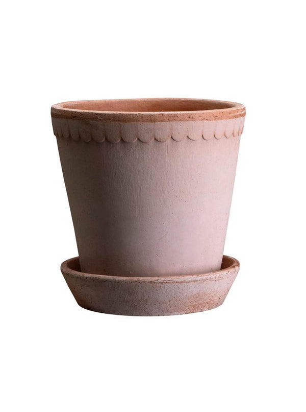 Scalloped Terracotta Pot & Saucer