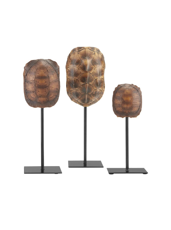 Standing Tortoise Shells | Set of 3