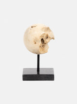 Travertine Sculptures | Set of 3