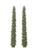 Tree Taper Candles | Set of 2
