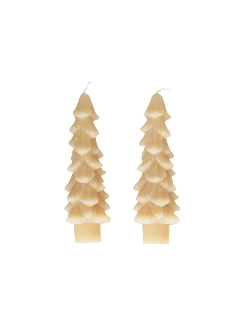 Tree Taper Candles | Set of 2