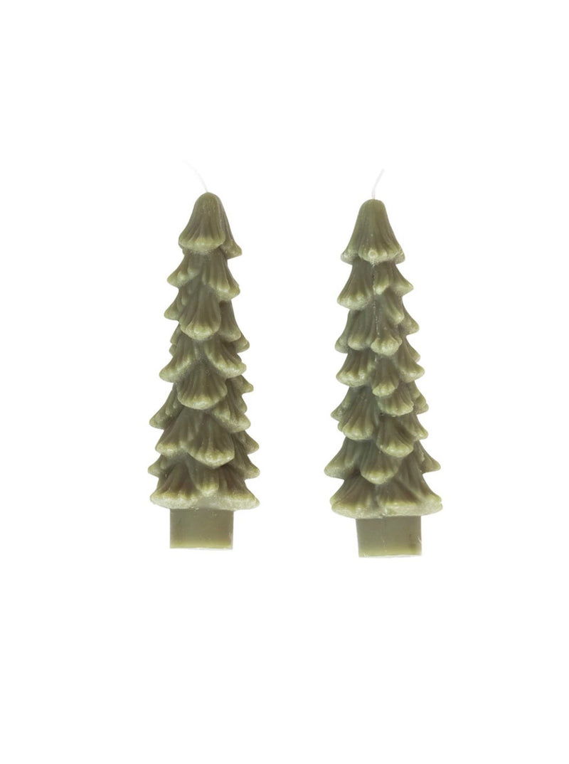 Tree Taper Candles | Set of 2