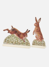 Thumbnail for picture #1