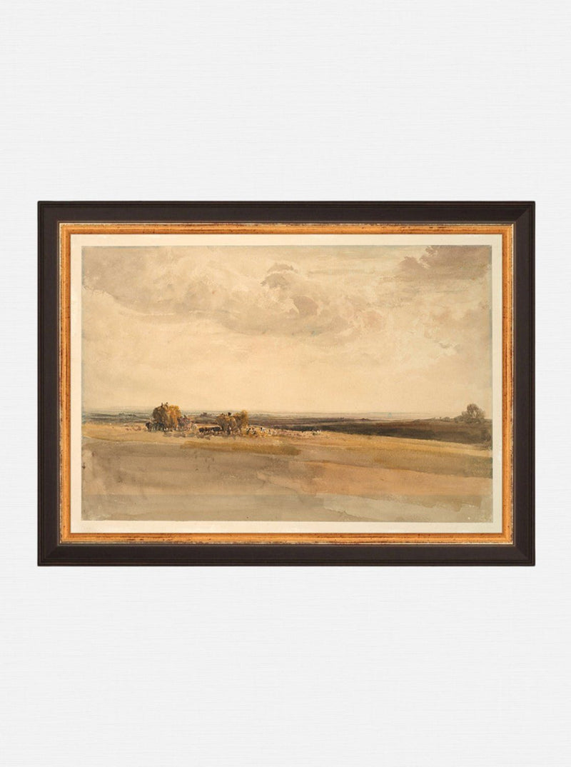 Wheat Field