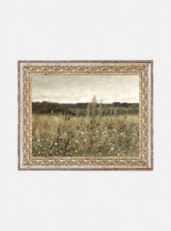Wildflower Meadow