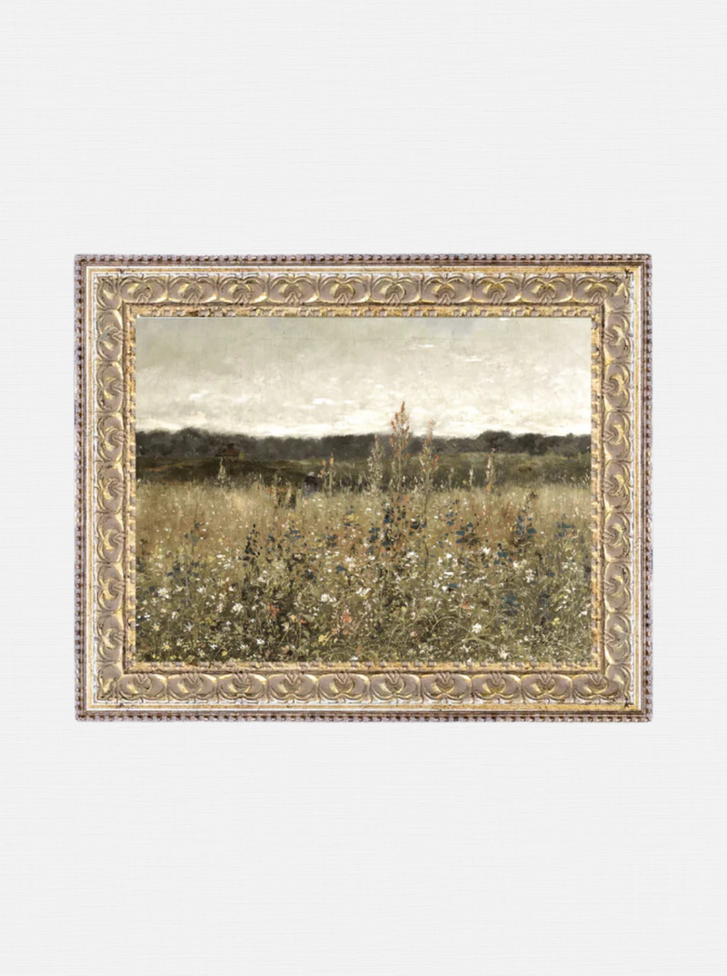 Wildflower Meadow