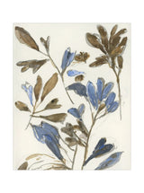 Wildflowers