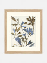 Wildflowers