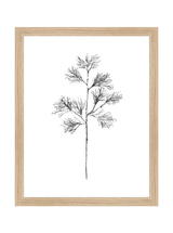 Winter Foliage Sketch I