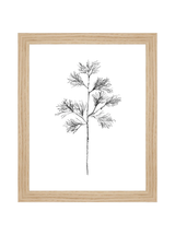 Winter Foliage Sketch I