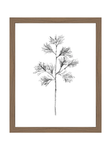Winter Foliage Sketch I