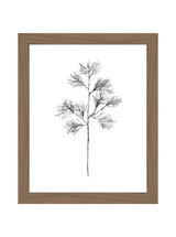 Winter Foliage Sketch I