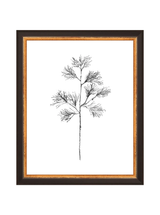 Winter Foliage Sketch I