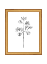 Winter Foliage Sketch I