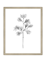 Winter Foliage Sketch I