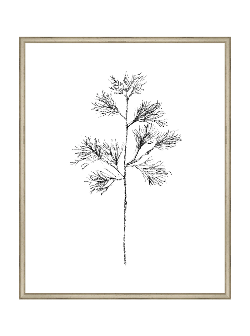 Winter Foliage Sketch I