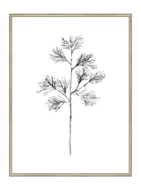 Winter Foliage Sketch I