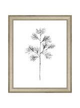 Winter Foliage Sketch I