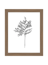 Winter Foliage Sketch II