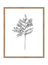 Winter Foliage Sketch II
