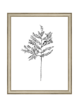 Winter Foliage Sketch II