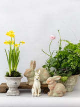 Antique Rabbit - HJSEA0002 - OS