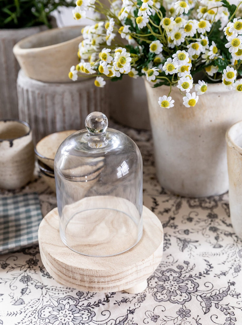 Small Glass Cloche