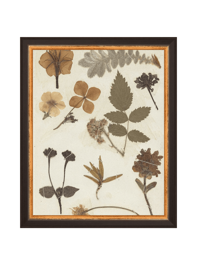 Autumnal Study II - HJART0329 - BKG - 8x10