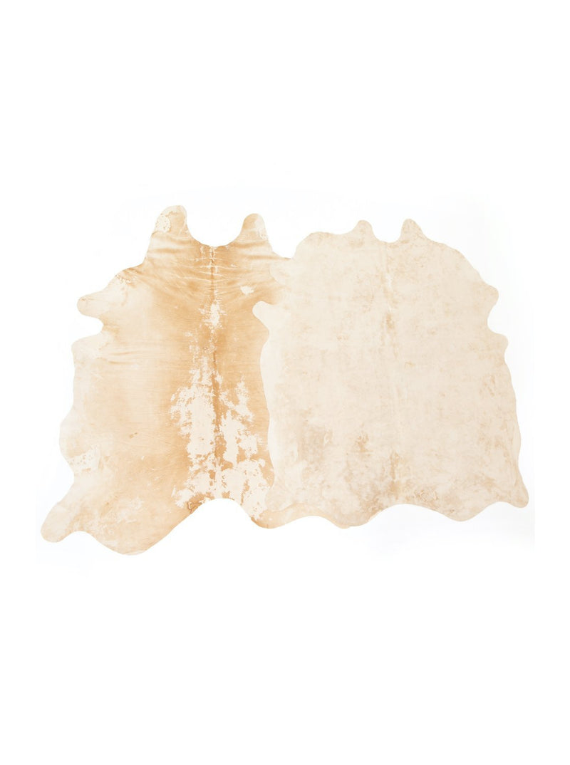 Banderia Hide - HJRUG0003 - NTL