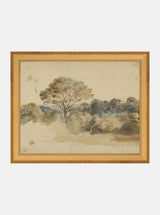 Baroque Watercolor - HJART0030 - GLD - 8x10