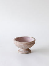 Beige Compote - HJDCR0211 - S
