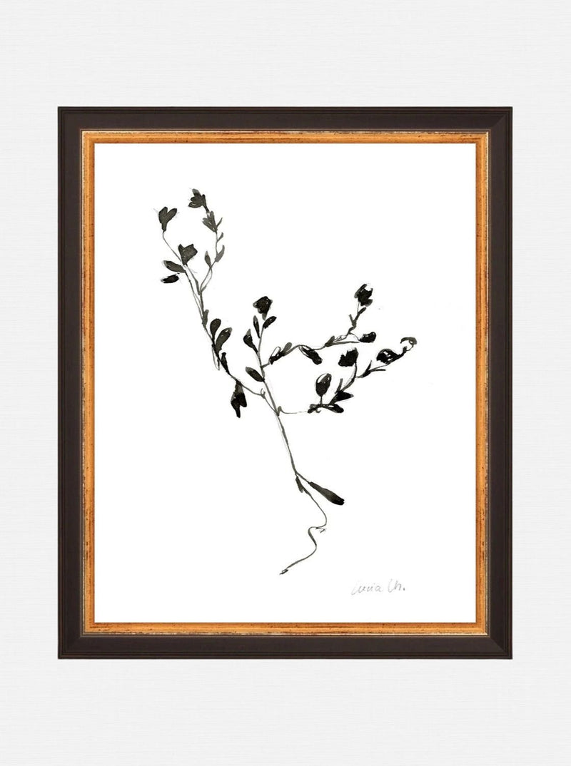 Botanical Sketch - HJART0187 - OAK - 8x10
