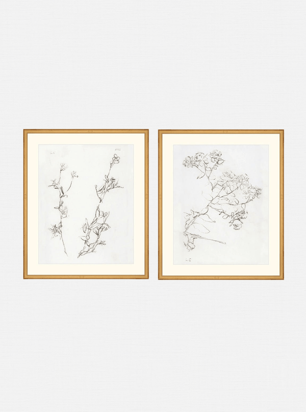 Botanical Study Duo Art Bundle - 
