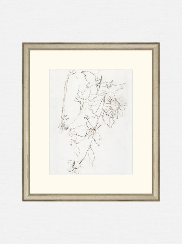Botanical Study III - HJART0221 - OAK - 13X15