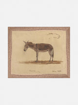 Thumbnail for picture #1