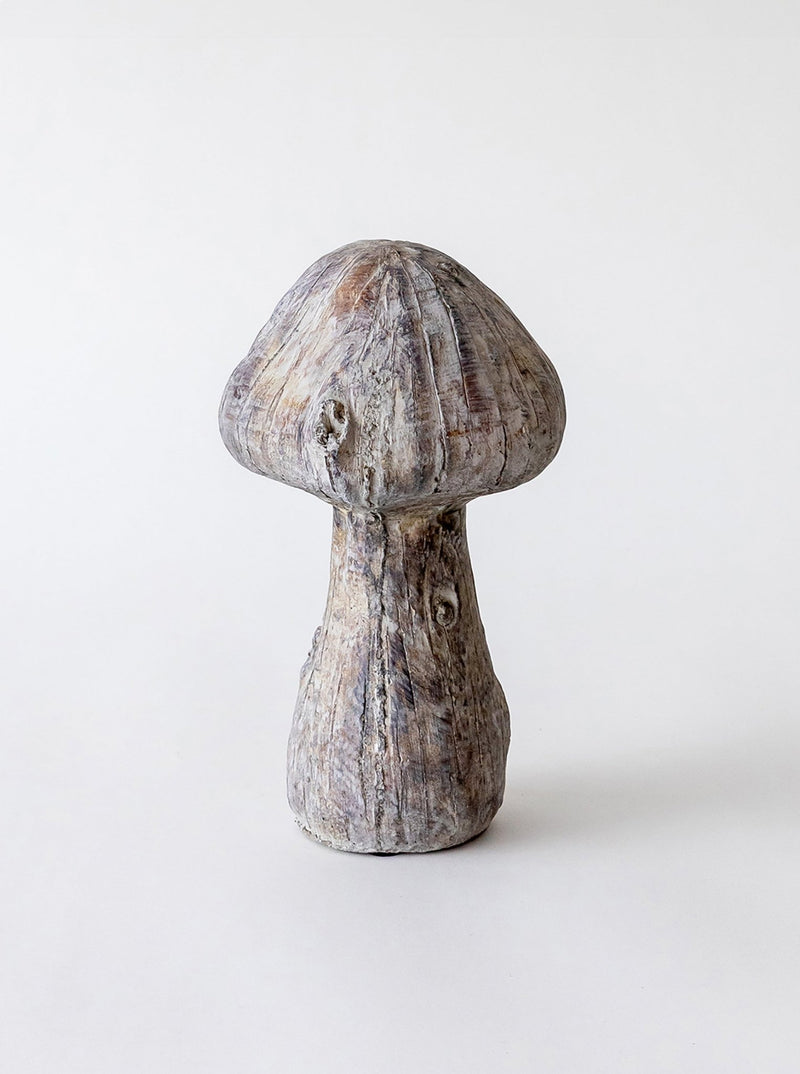 Concrete Mushrooms - HJDCR0394 - L