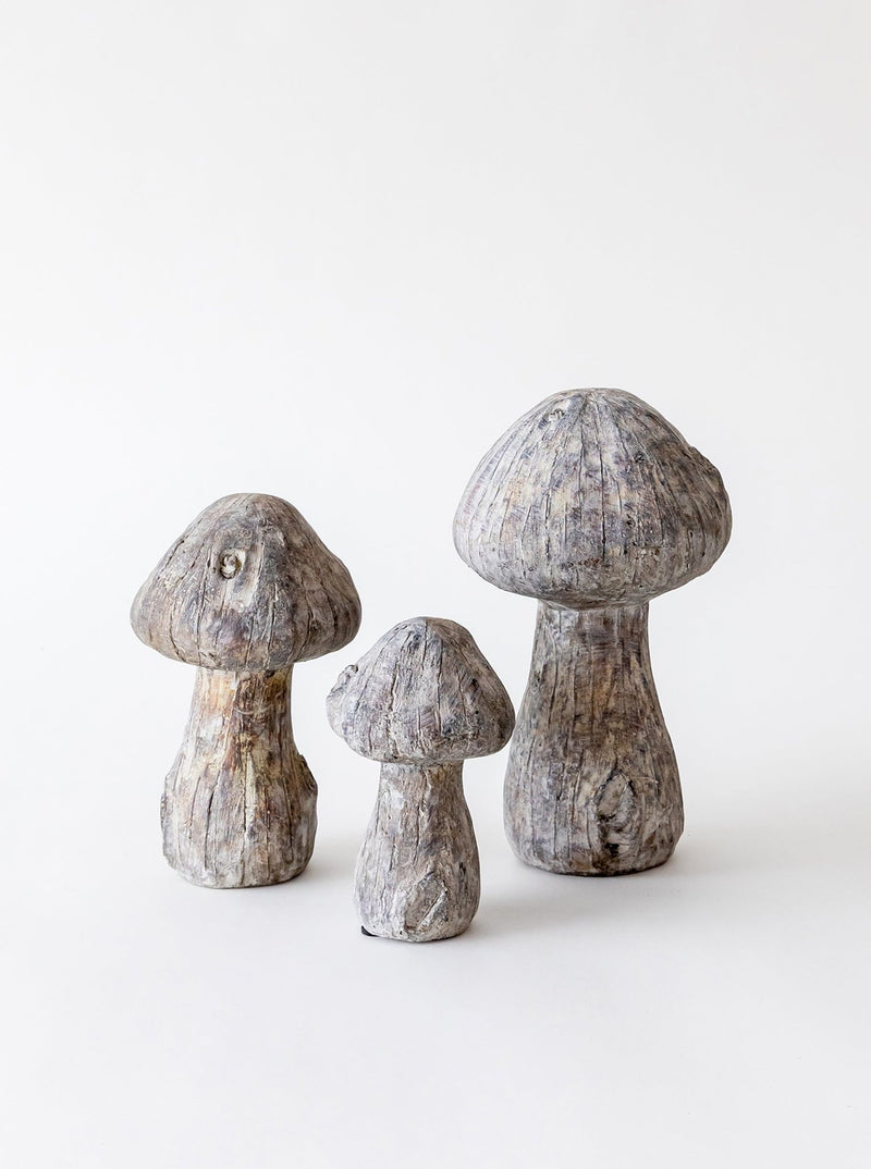 Concrete Mushrooms - HJDCR0394 - SET