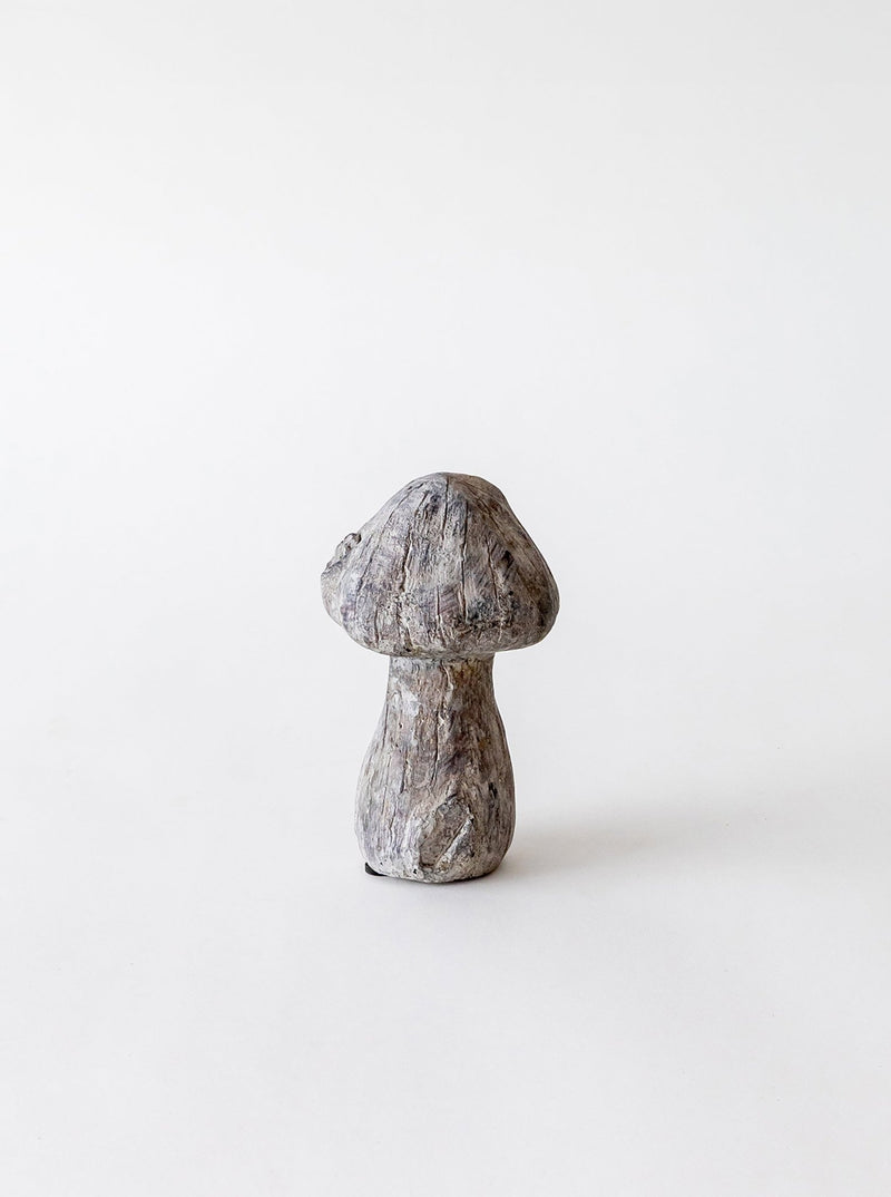 Concrete Mushrooms - HJDCR0394 - S