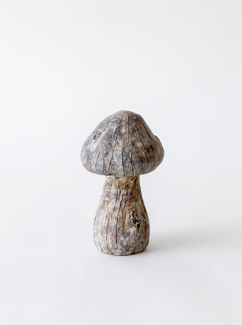 Concrete Mushrooms - HJDCR0394 - M