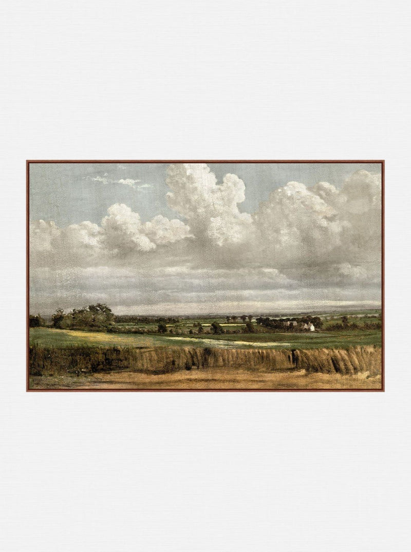 Country Field - HJART0164 - OS