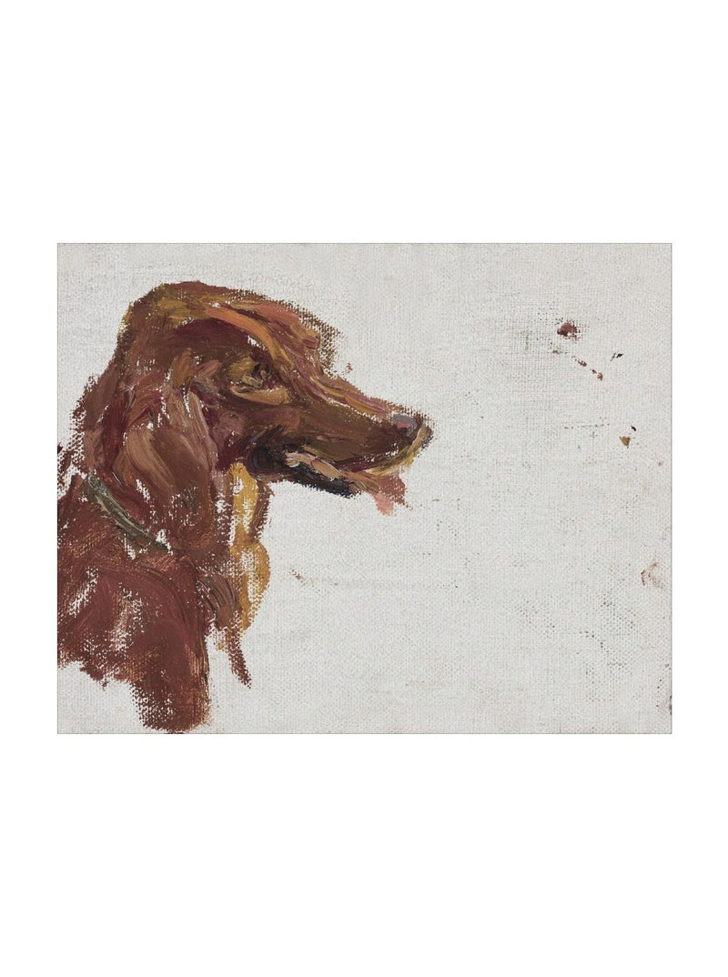 Dog Study - HJART0210 - UF - 8x10