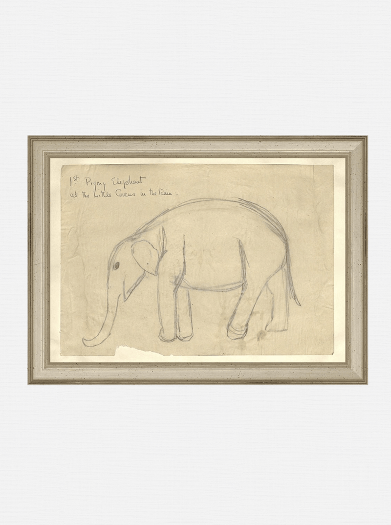 Elephant Sketch - HJART0091 - SIL - 8x11