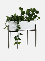Farrah Planter - HJDCR0250 - WHT