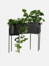 Farrah Planter - HJDCR0250 - WHT