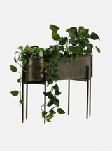 Farrah Planter - HJDCR0250 - BR