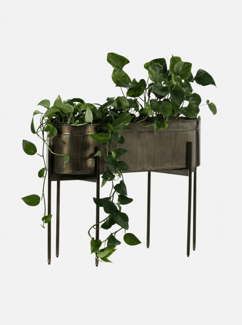 Farrah Planter - HJDCR0250 - BR