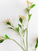 Faux Chamomile Stem - HJGRN00108 - PNKBUN